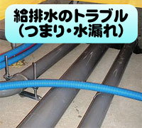 �����r���̂܂�E���R��A�g���u��